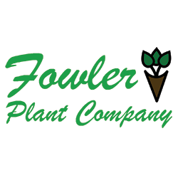 Fowler Plant Company 1 31 25