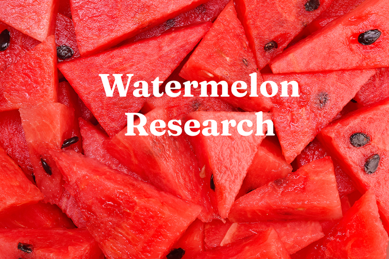 Watermelon Research Graphic